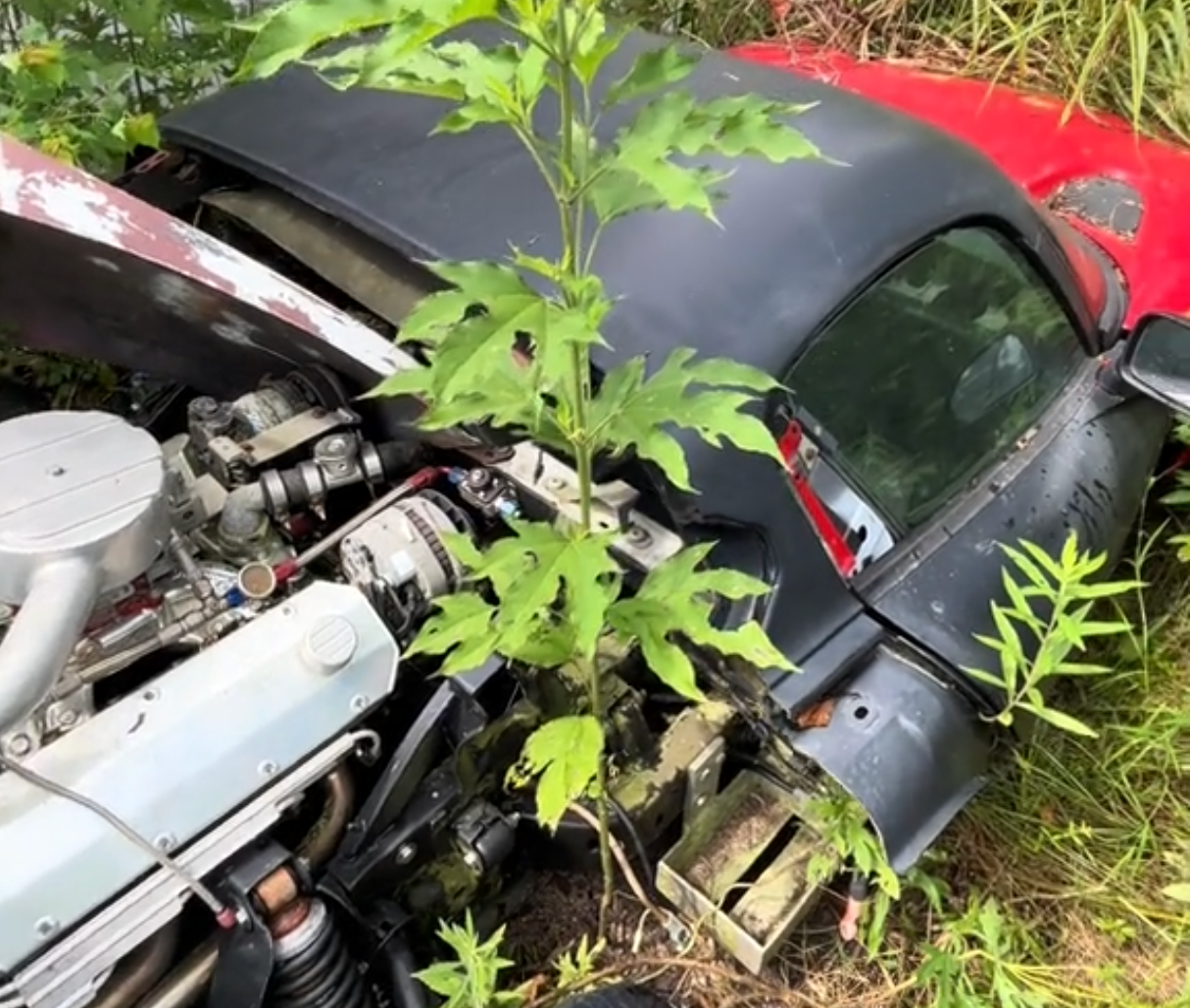 These Barn-Find Dodge Vipers Are Dying to Be Rescued