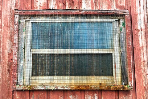 How To Clean Window Screens Best Ways How To Clean Window Screens Best Ways