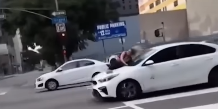 Fierce Pet Owner Clings to Dognapper's Moving Car in Downtown L.A.