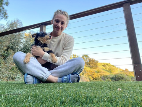 Cute Puppy Dog Animal Pets Riverdale Apa Archie