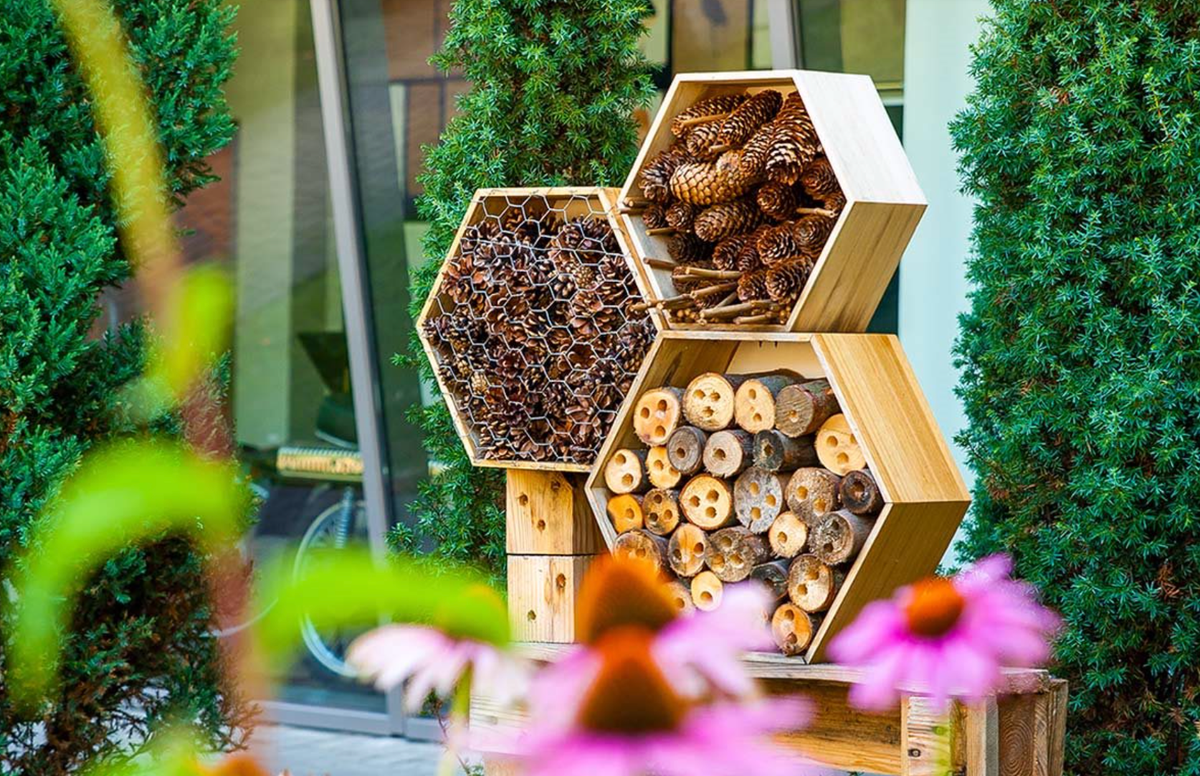 how-to-make-a-bug-hotel-with-the-kids