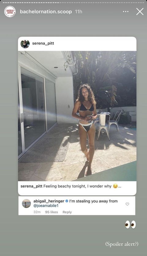 Serena Pitt Instagram Who Is Grocery Store Joe Dating? All You Need To Know About Joe And Serena Pitt Relationship