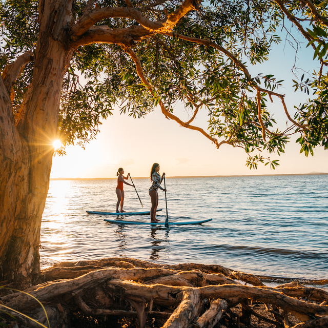 paddle boarding in queensland