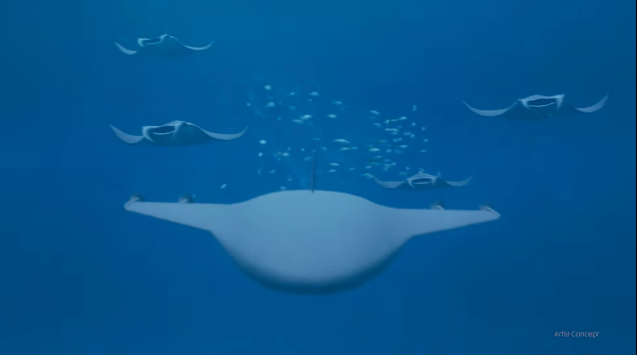 The Pentagon Created a New Kind of Underwater Predator: The Mysterious Manta Ray