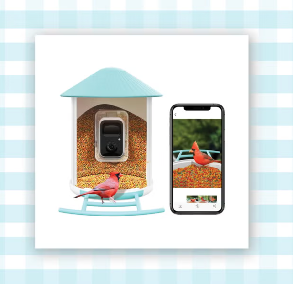 Is It Worth It? We Tested Netvue's Smart Bird Feeder