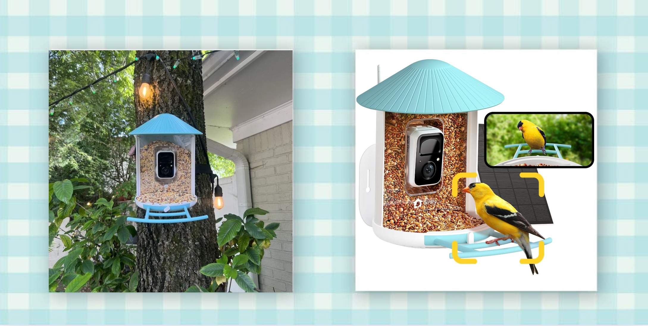 Our Editor-Favorite Bird Feeder Camera Makes the Best Christmas Gift