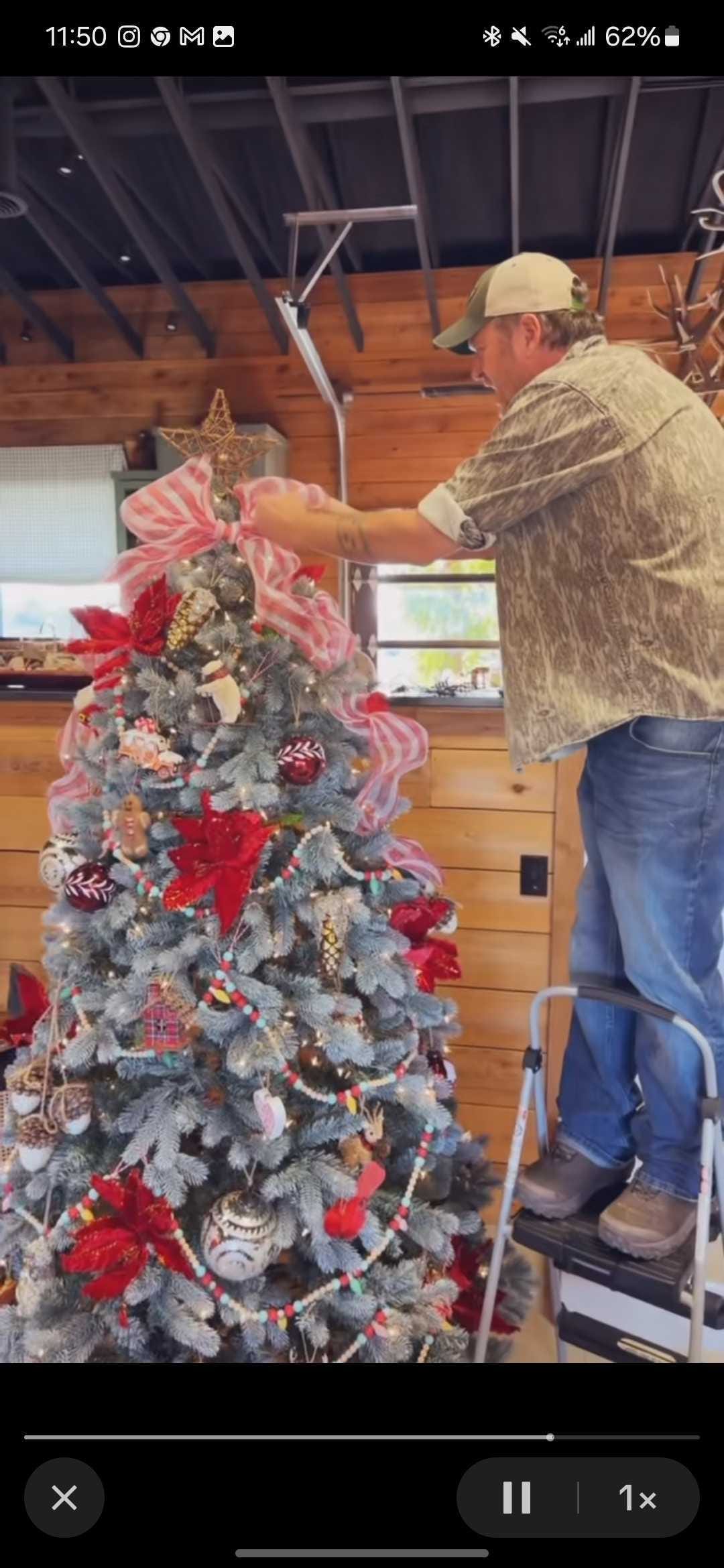 Blake Shelton Calls His Christmas Tree a 