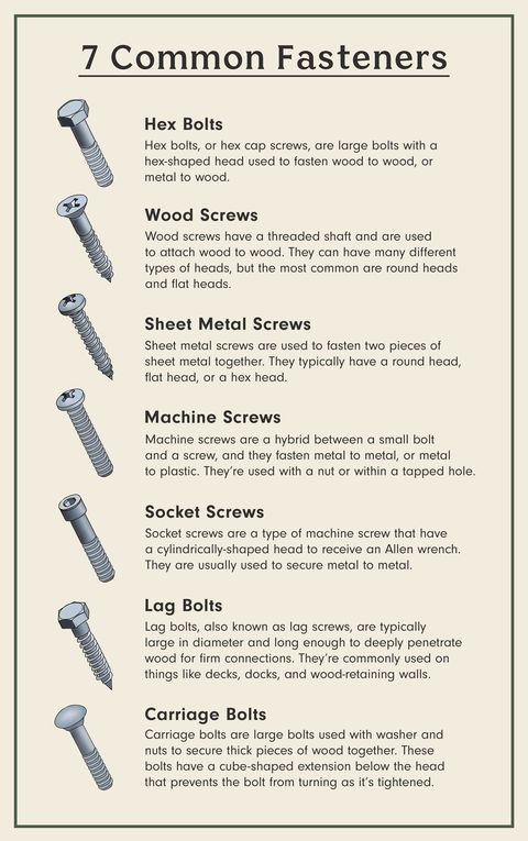 7 Types Of Screws Every Homeowner Should Know About Common Fasteners