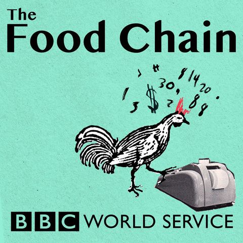 the food chain bbc