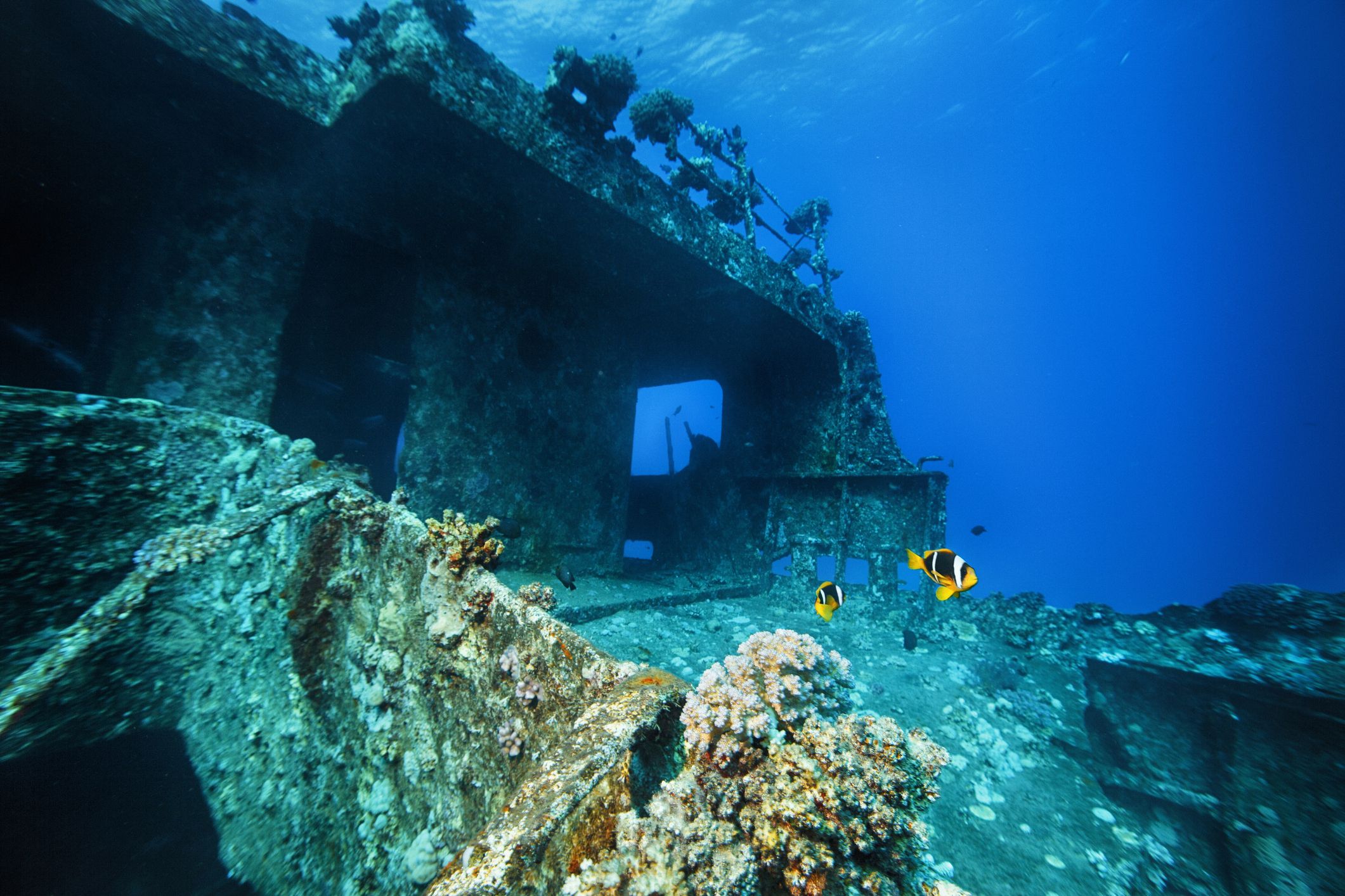 15 Photos Of Underwater Shipwrecks - Beautiful Shipwreck Images