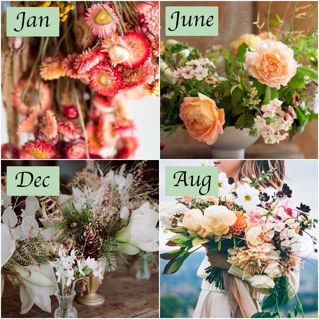 Best Seasonal British Cut Flowers For Every Month Of The Year