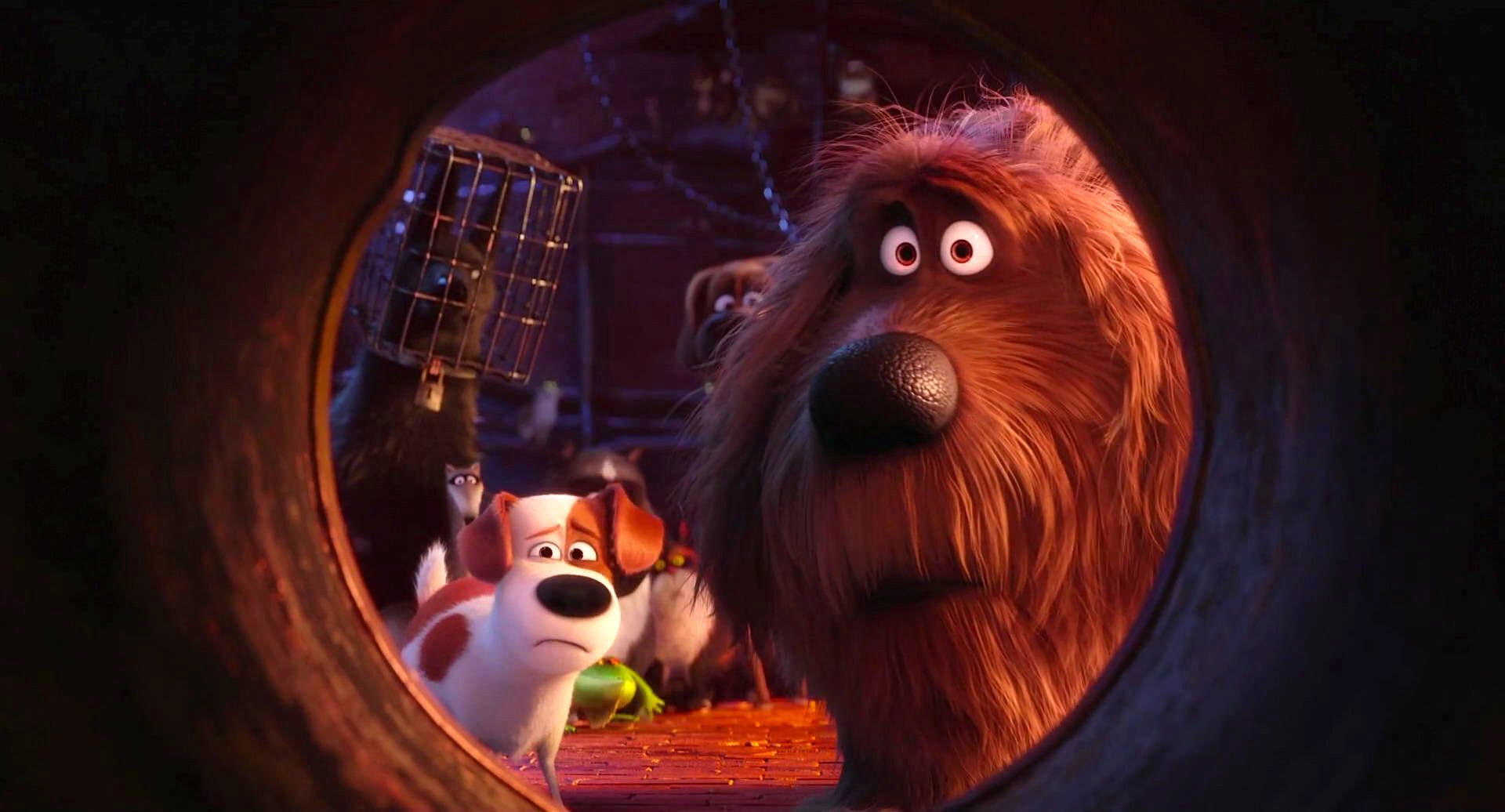 the secret life of pets watch online stream