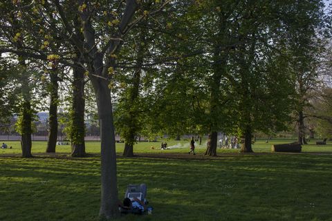 London park in summer with barbecue in the distance