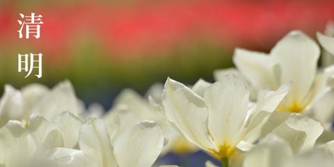 今日の暦をお知らせします 和の暦 清明 つばめきたる 卯月4月4日 今年の燕 見ましたか