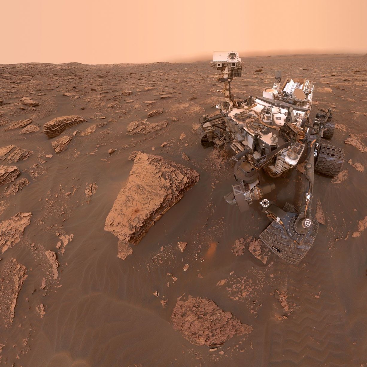 If We Find Fossils On Mars, They Could Be Fake, Scientists Warn