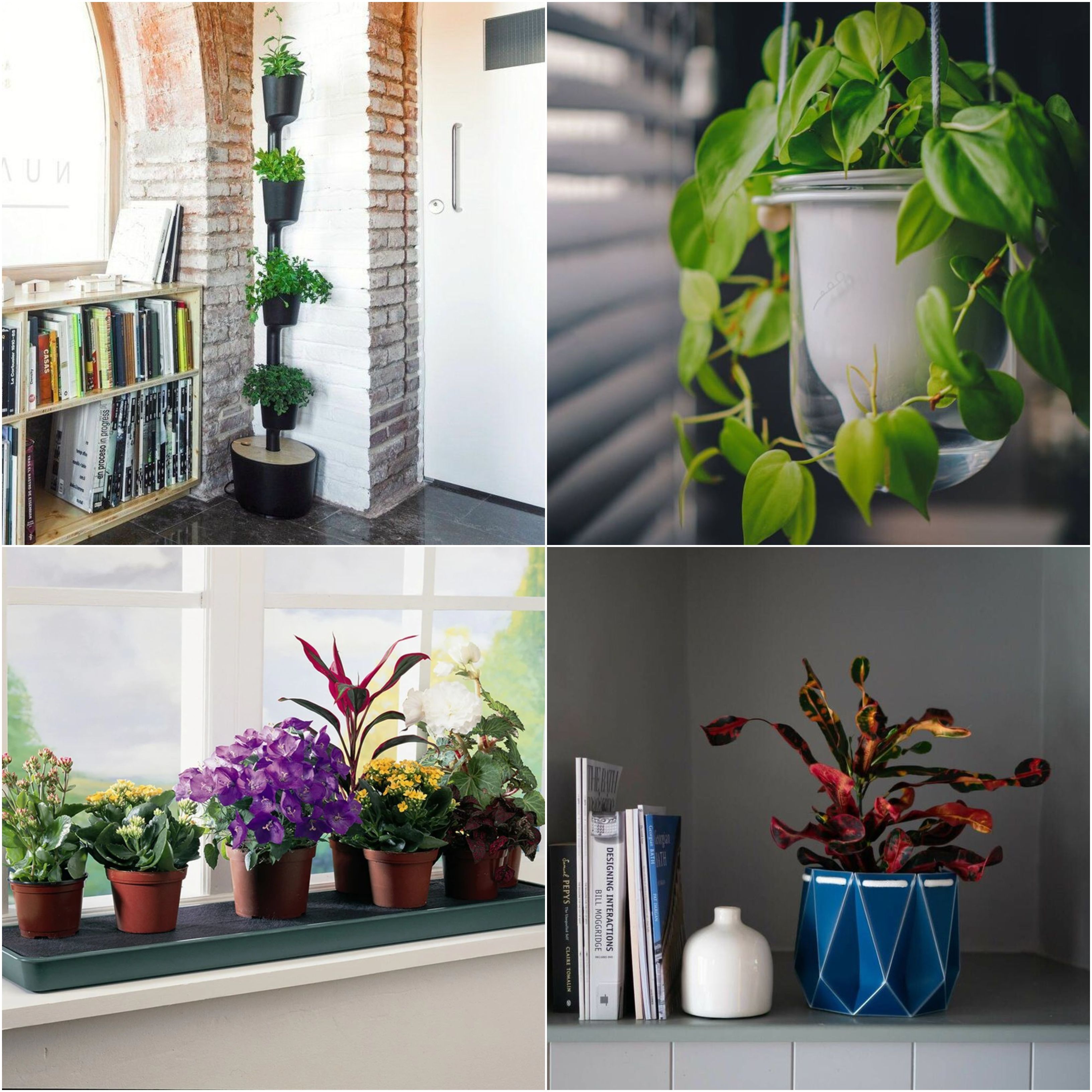Self-watering Plant Flower Pot Wall Hanging Plastic Planter House Garden Call 