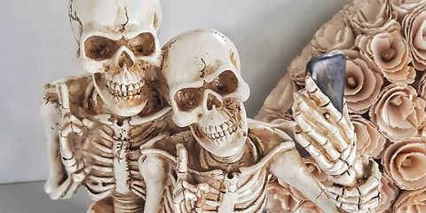 Skeleton, Bone, Skull, Anthropology, Jaw, Human, Stock photography, Illustration, Art, 