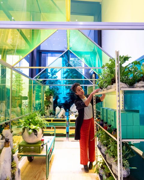 Selfridges is launching in-store garden centers