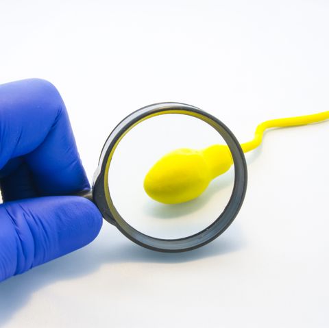 Sperm or semen test or analysis concept photo. Doctor, technician or scientist looks at model sperm cell through magnifying glass on white background. Diagnostics in urology at health and viability
