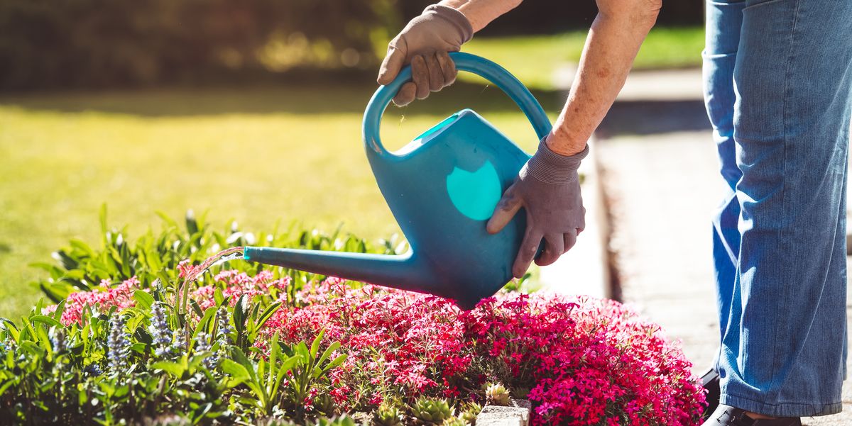 8 Smart Tools That Make Gardening Less of a Pain