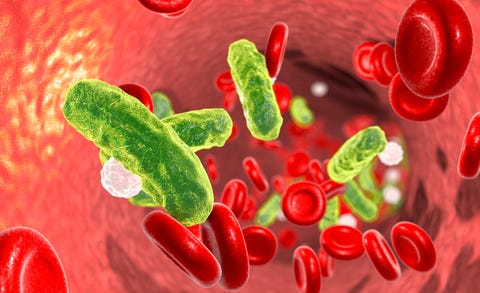 Bacterial Blood Infection Bacterial Blood Infection