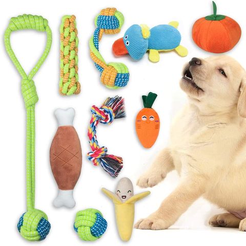 set de diez juguetes para perros