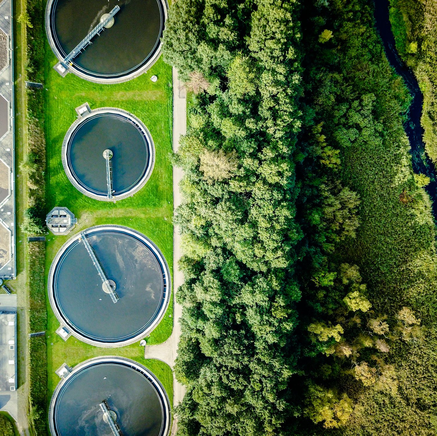 Everyday Explained: How Wastewater Treatment Plants Transform Sewage Into Safe Water