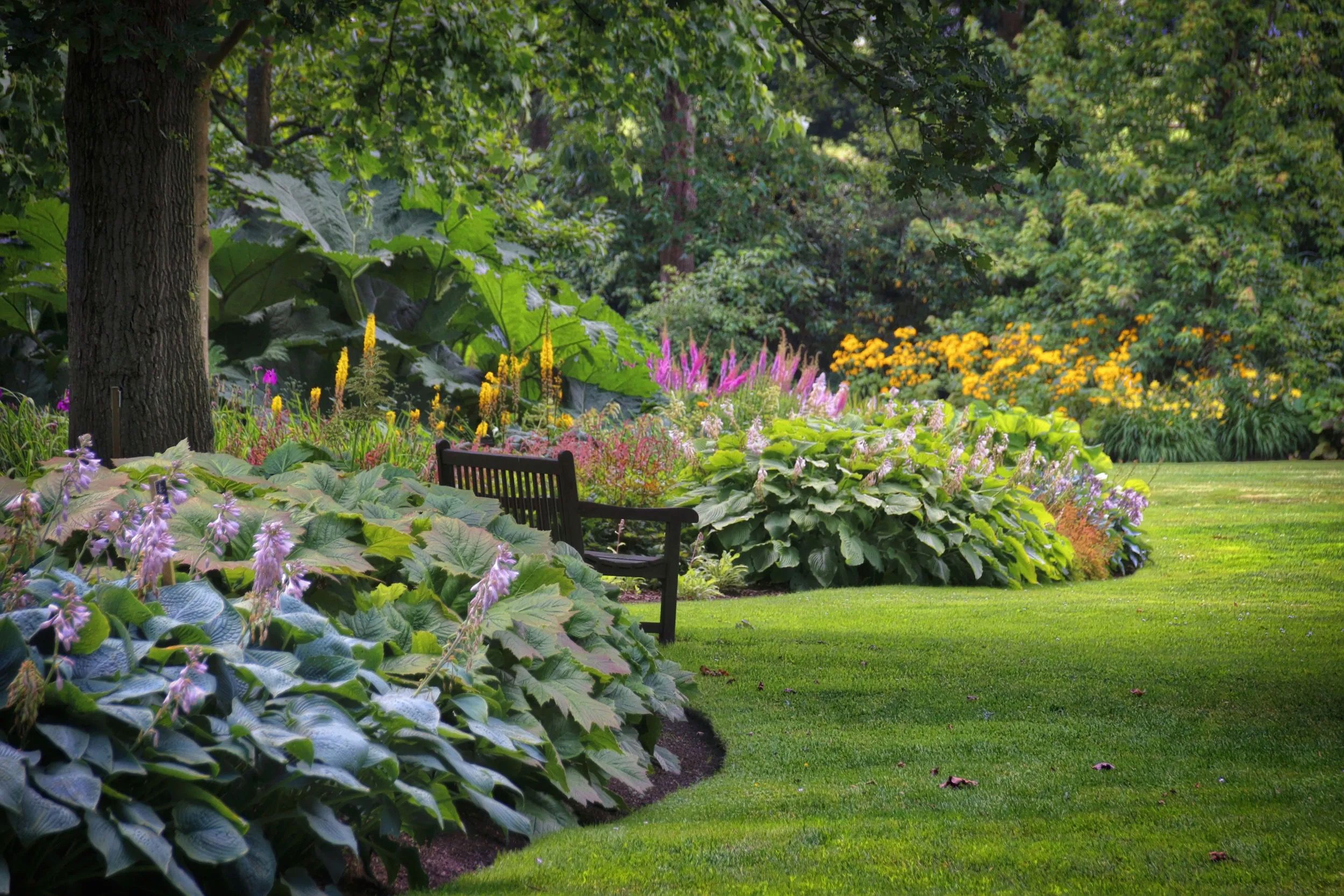 flowers for partial sunlight