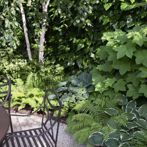 shady garden corner shady garden corner