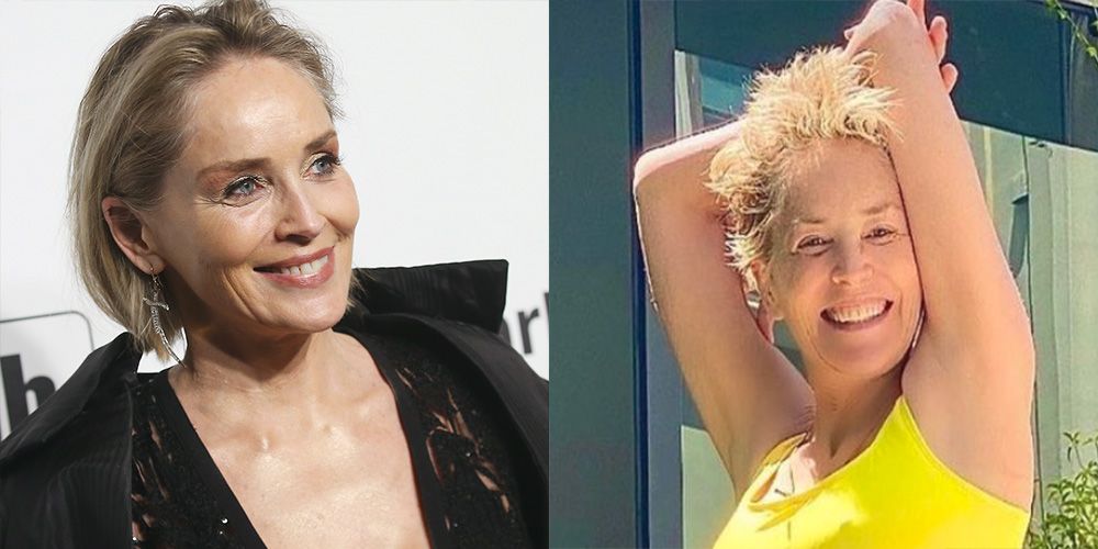 Sharon Stone Then And Now - Sharon Stone Wikipedia : See 