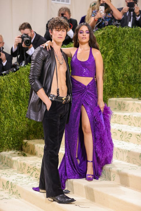 Shawn Mendes and Camila Cabello shawn mendes and camila cabello
