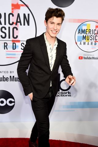 Is Shawn Mendes' Pants Zipper Down at the 2018 American Music Awards?