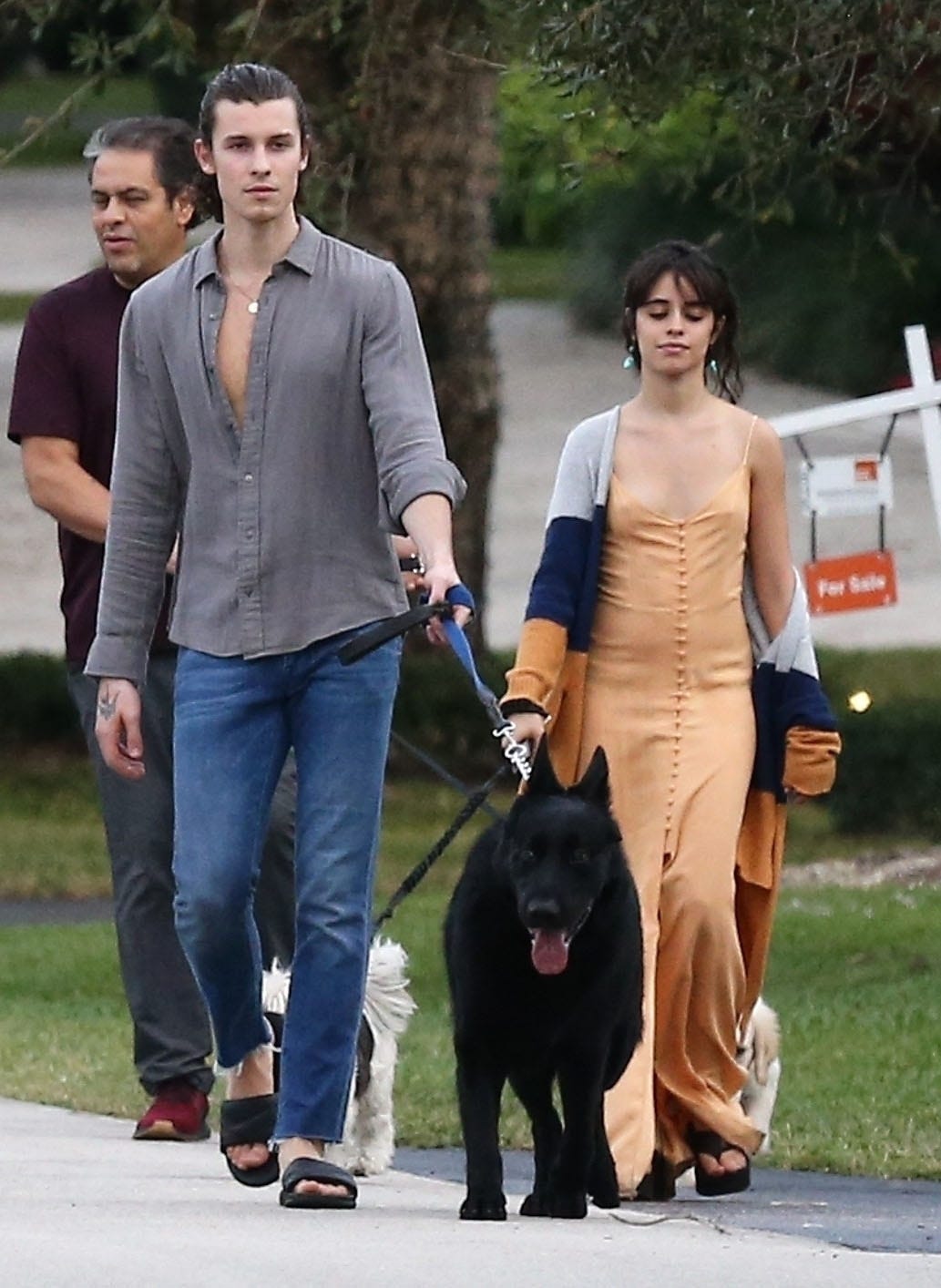 Camila Cabello and Shawn Mendes Got Dressed Up to Walk Their Dog, Remind Everyone They’re Dating