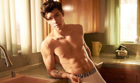 Autónomo Partido Gracias Shawn Mendes revienta Instagram con su posado para Calvin Klein Underwear