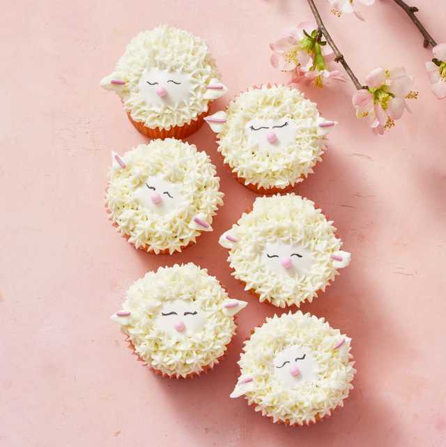 cute sheep cupcakes on a pink background