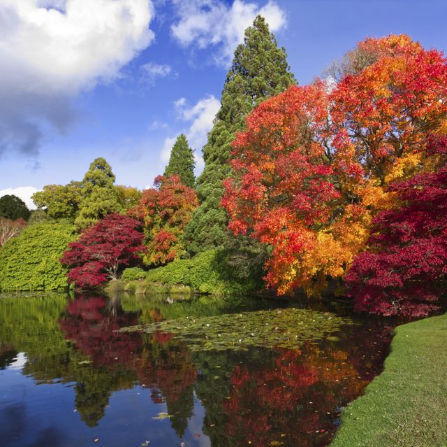 autumn colour and the lake at sheffield park and garden, east sussex