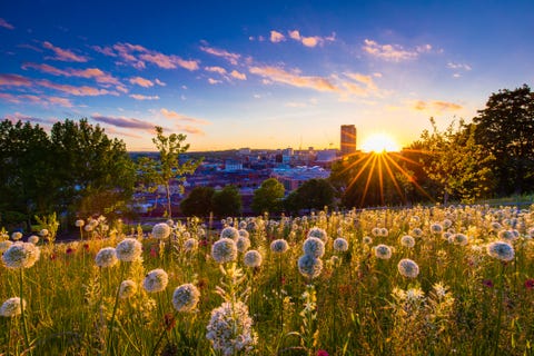 Sheffield sunset