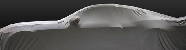 shelby ford teaser 2021 shelby ford teaser 2021