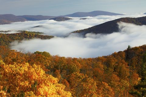 The Most Scenic Drives in America - Best Fall Road Trips