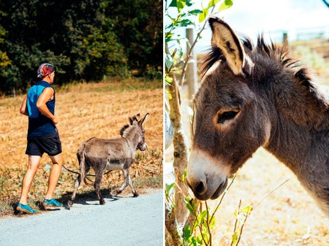 Running with Sherman