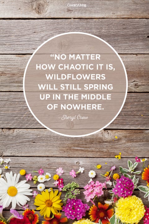 35 Best Happy Spring Quotes - Motivational Sayings About Spring