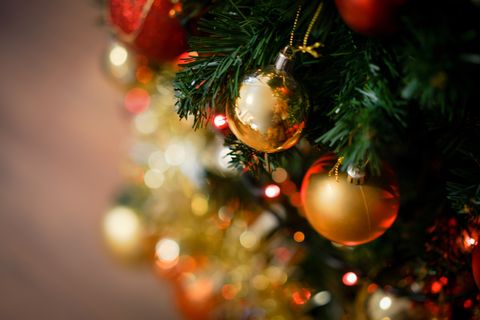 Rainbow Christmas Trees Will Be Biggest Christmas 2018 Trend, says John ...