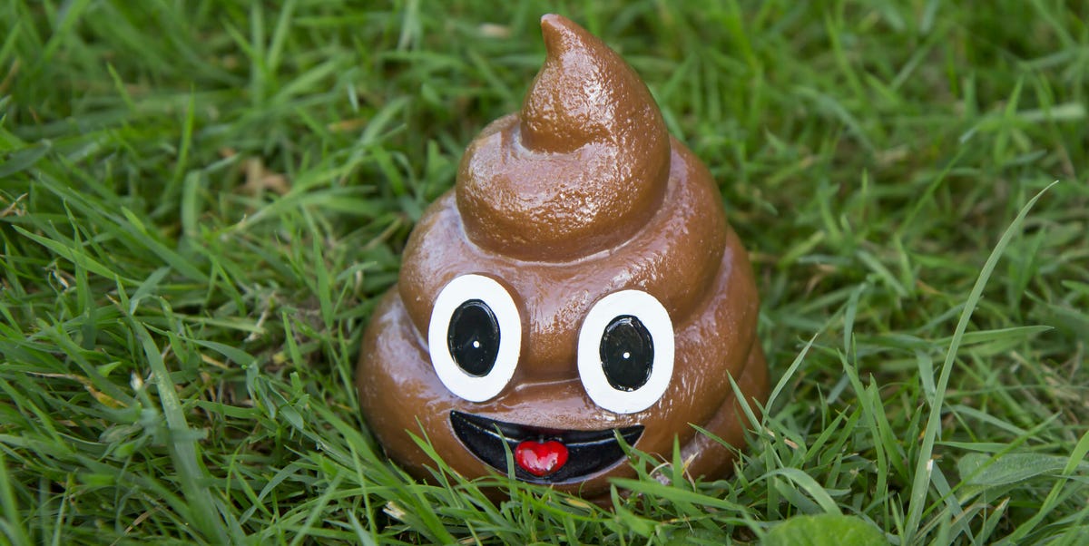 ‘Poopy Bandit’ Steals Bike and Poops on Lawn - Pooping Thief
