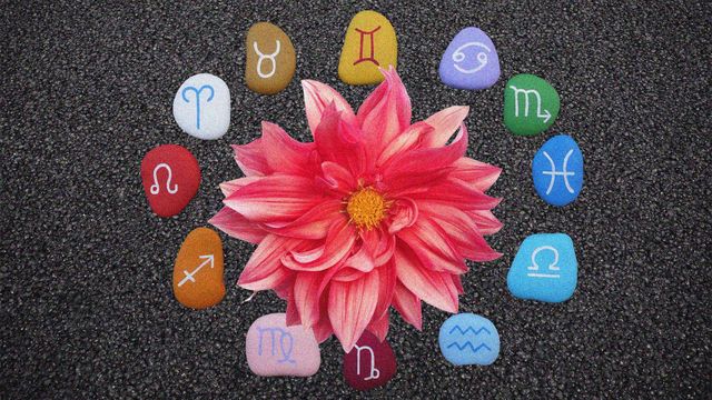 astrological signs around a flower