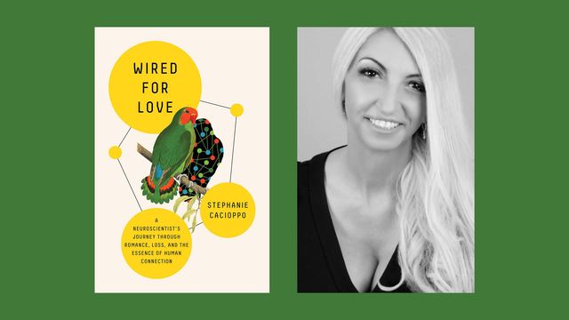 neuroscientist dr stephanie cacioppo on the ways our brains are ‘wired for love’
