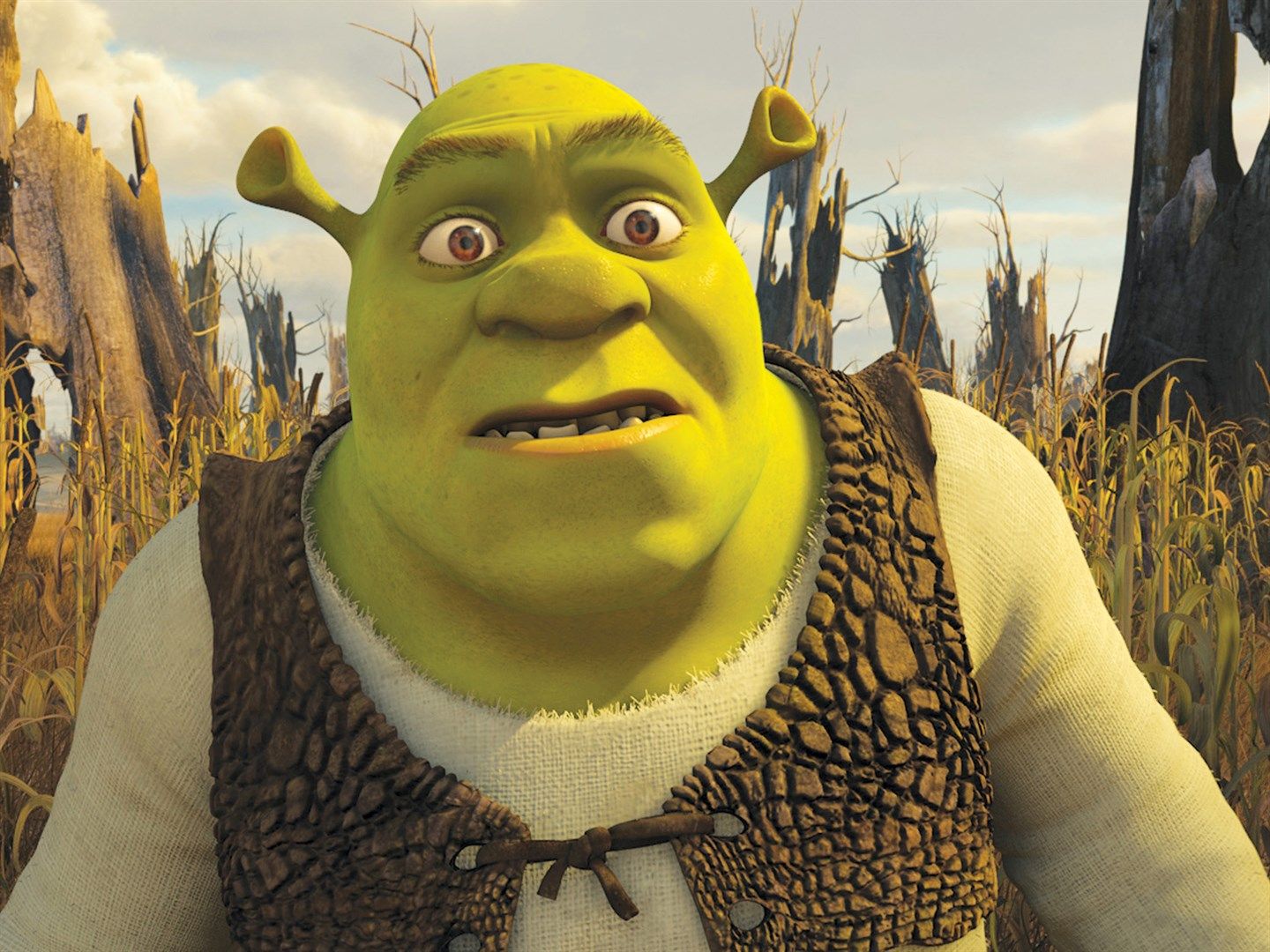 shrek picture