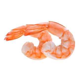 shrimp