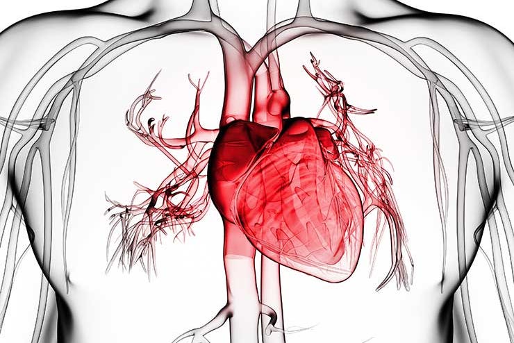 Heart disease Heart disease