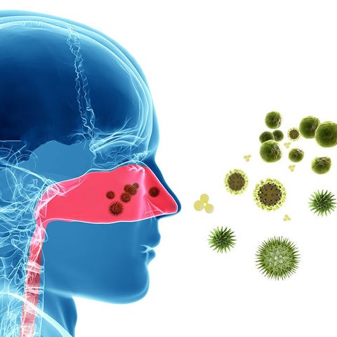 Antihistamines Antihistamines