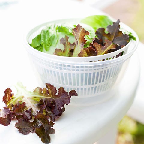 dry let dry lettuce